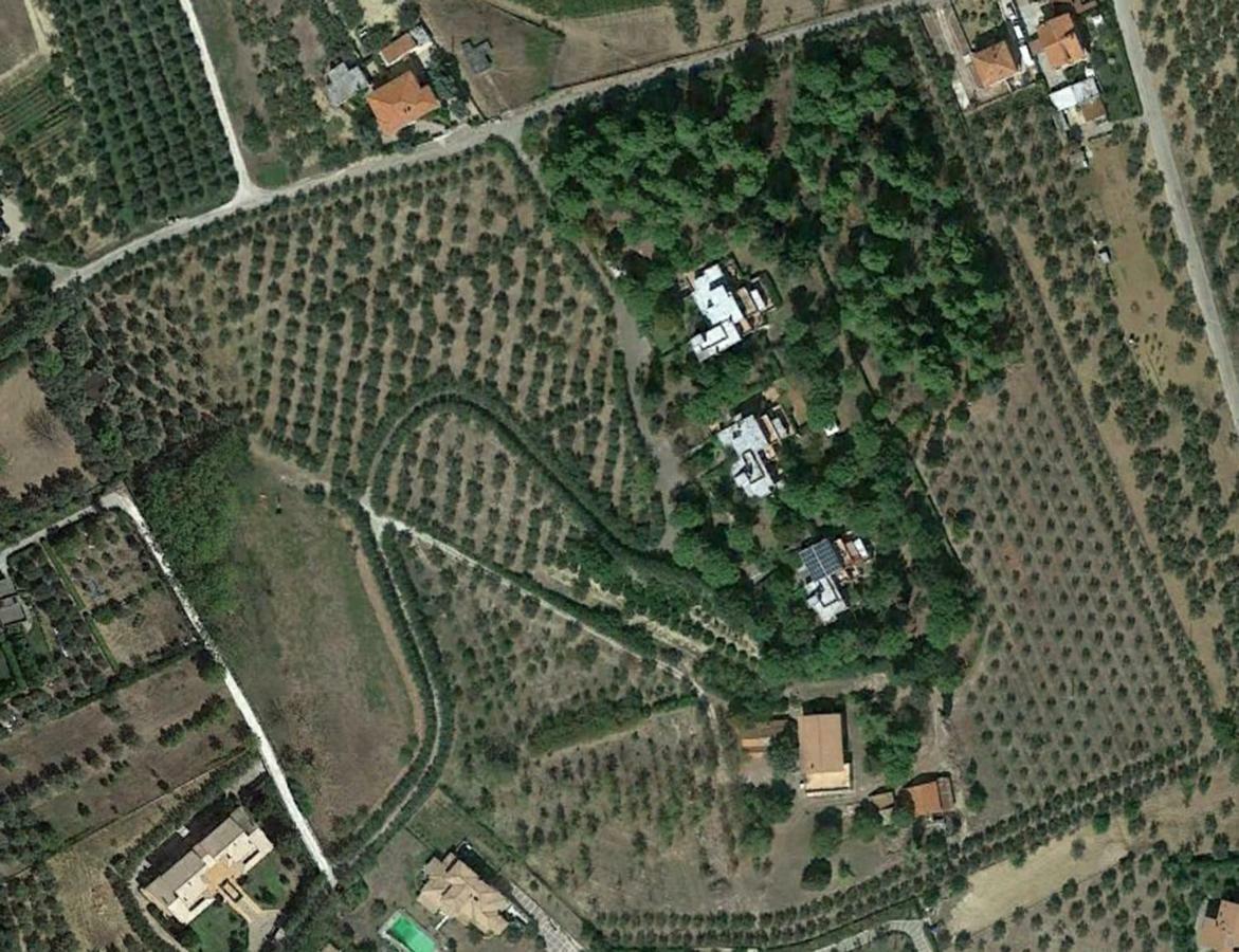 Colle Moro - B&B Villa Maria 圣安杰洛城 外观 照片