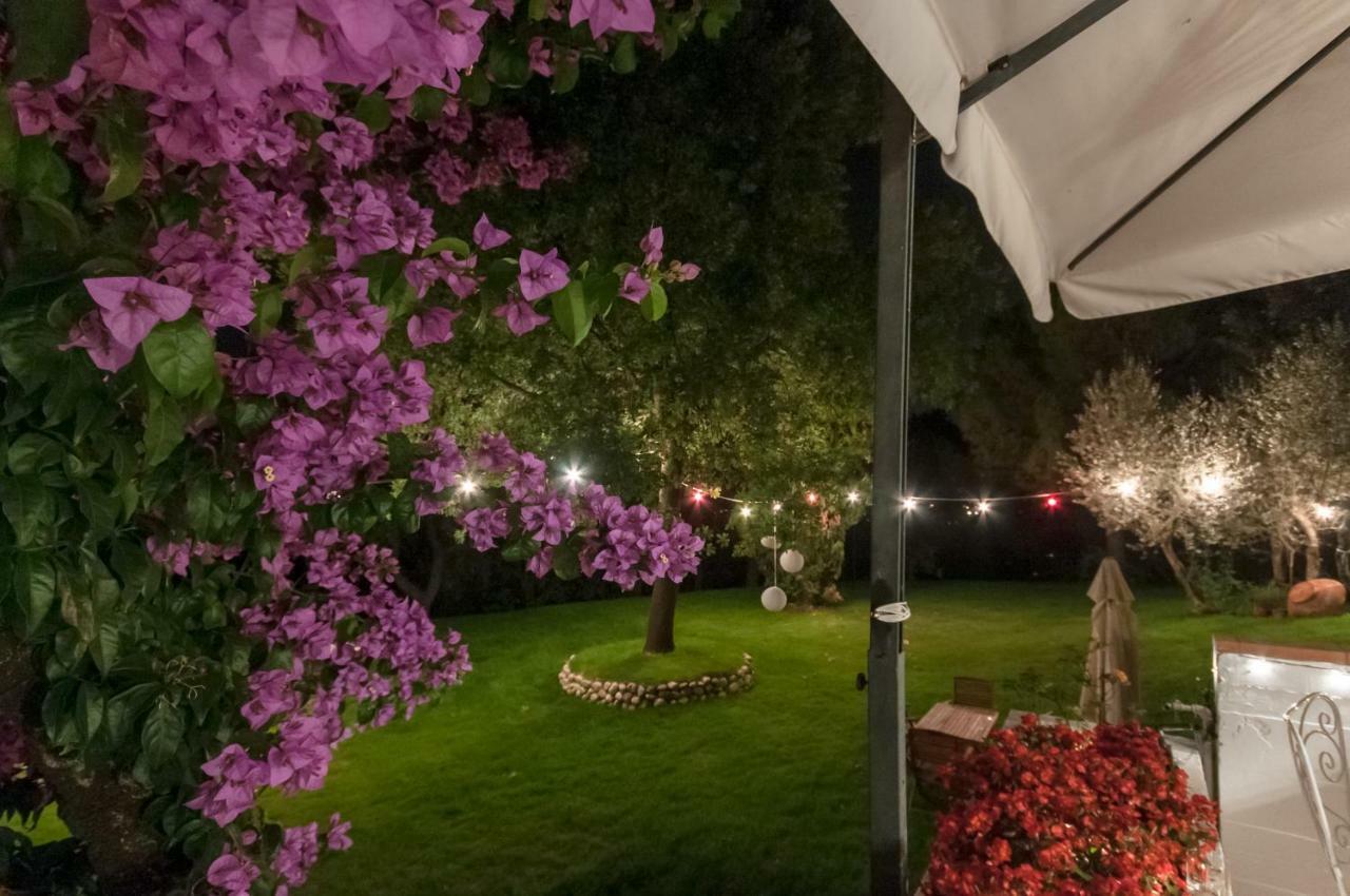 Colle Moro - B&B Villa Maria 圣安杰洛城 外观 照片